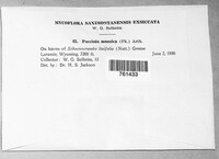 Image Associated With the Occurence